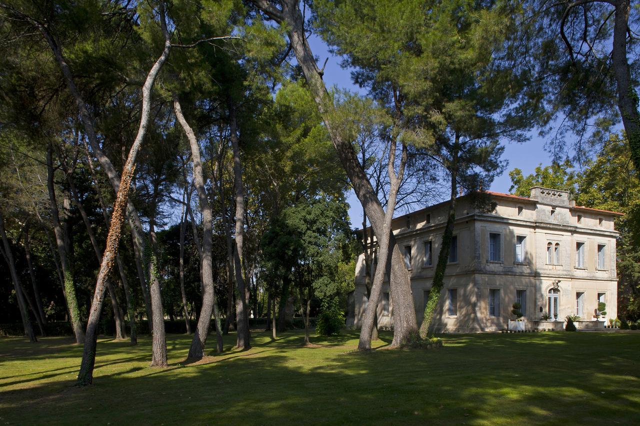 Chateau Sainte Colombe Bed and Breakfast Exteriör bild