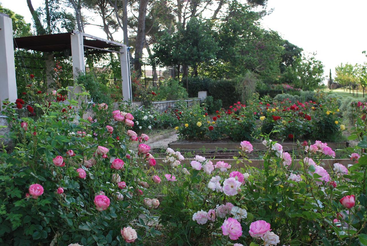 Chateau Sainte Colombe Bed and Breakfast Exteriör bild